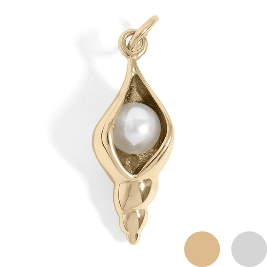 Conch Shell with Pearl